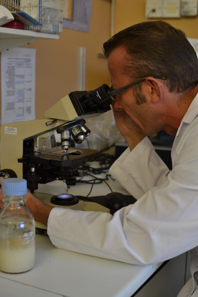 Scientist looking a the microbes in Vanessa Kimbell Sourdough Starter in 2013