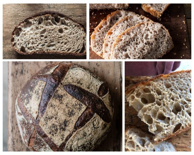 BALM  &#8211; The Art and Science of How to Bake The Healthiest Bread in the World