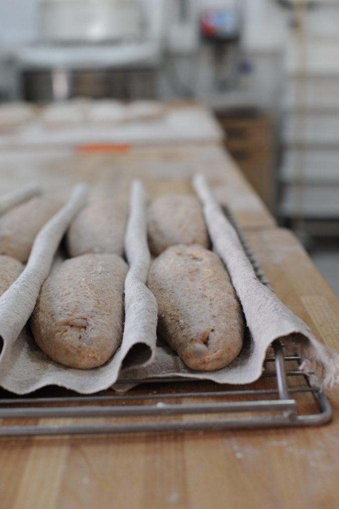 ambient French Bread proofing